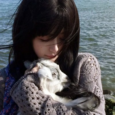 神探忠犬